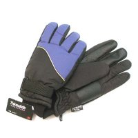 Ski Glove